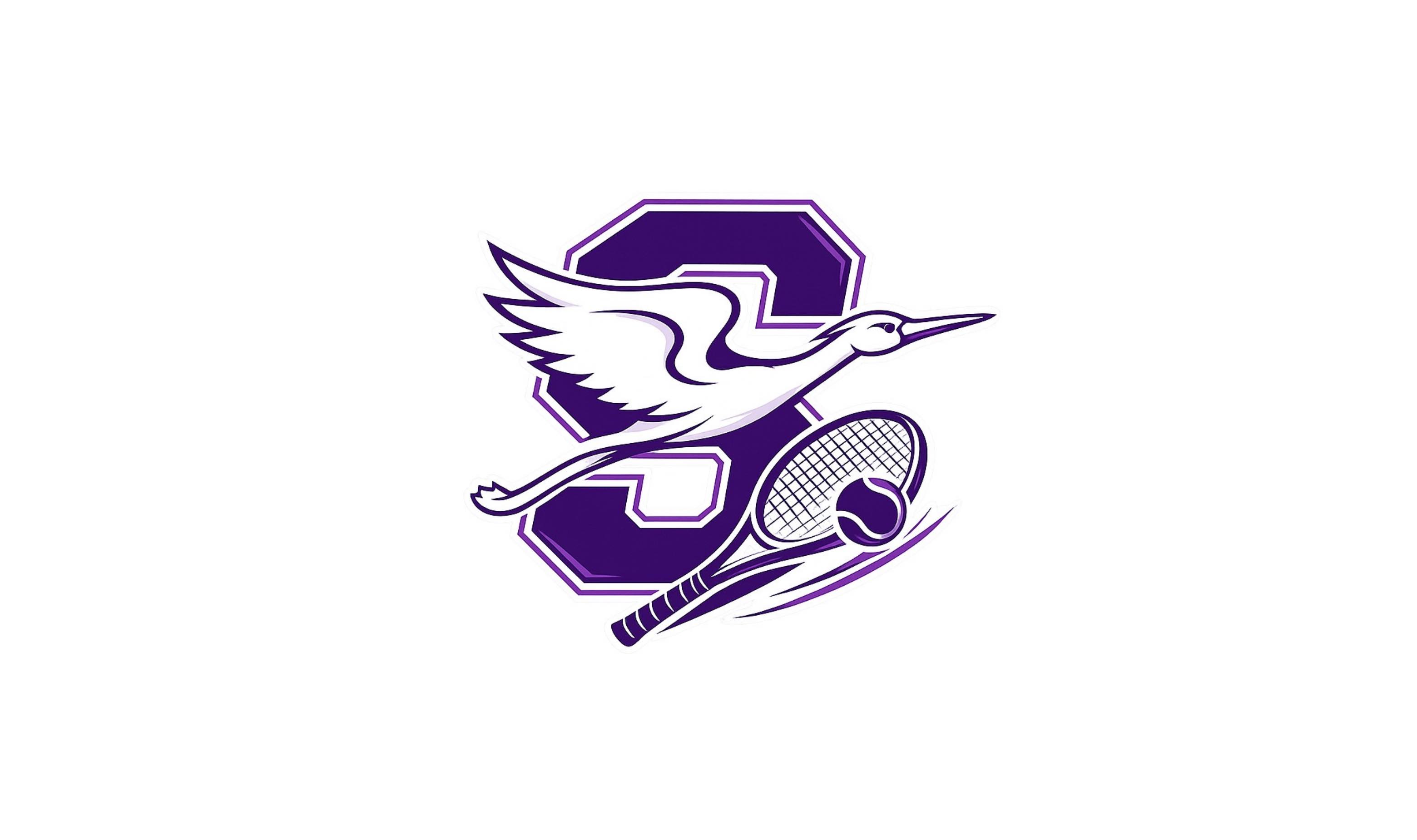 Logo Ace'Storks