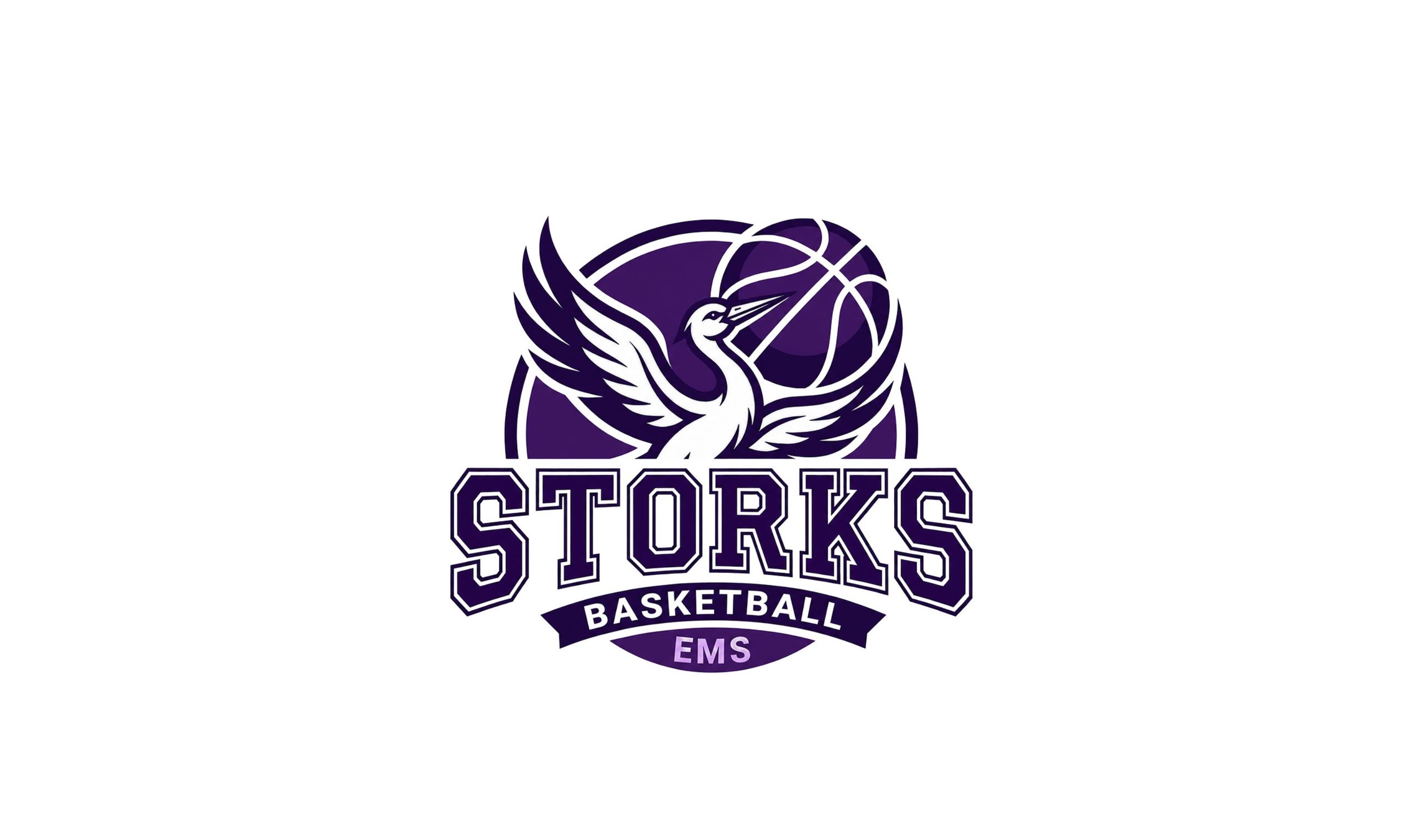 Logo Storks Ball