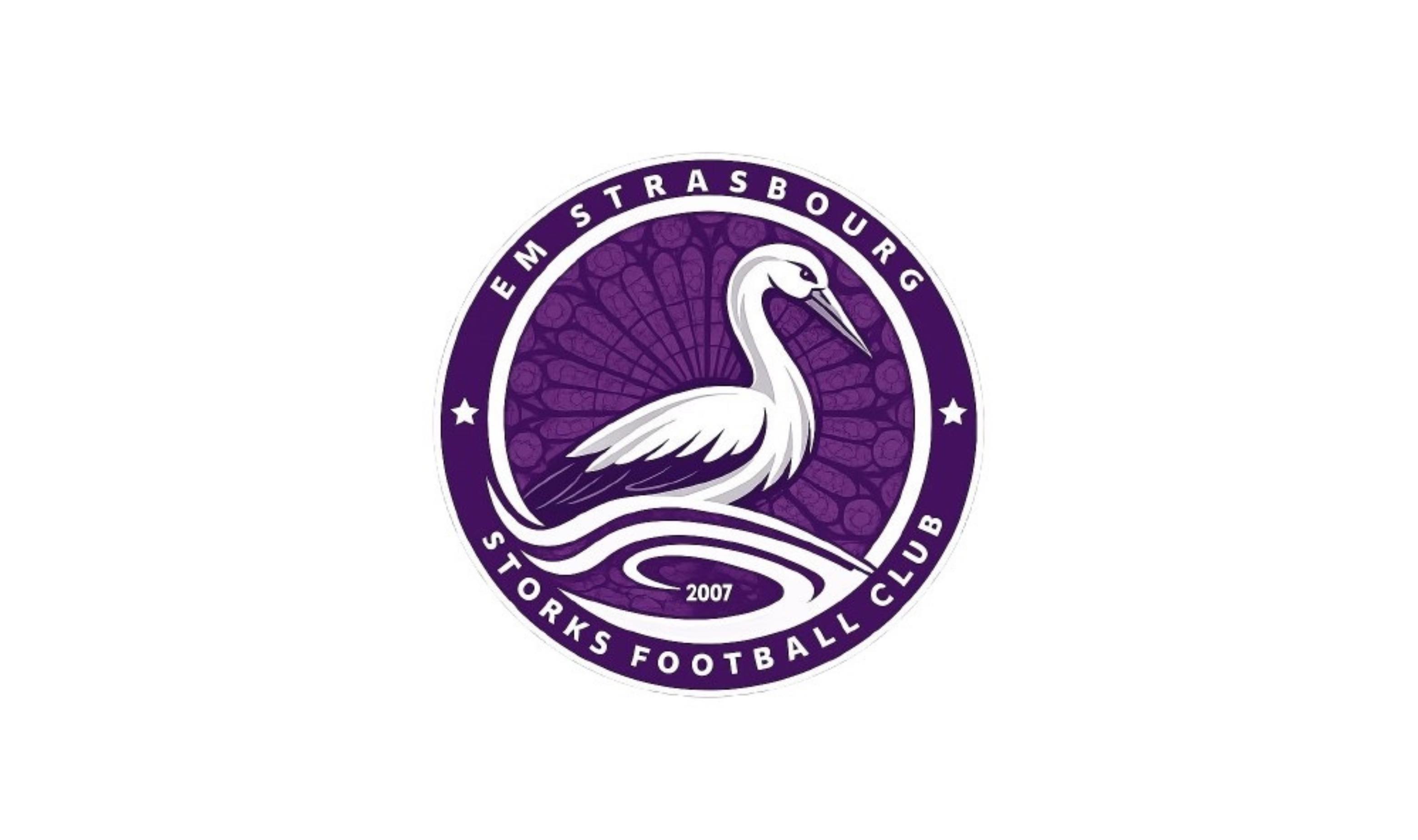 Logo Storks Football Club