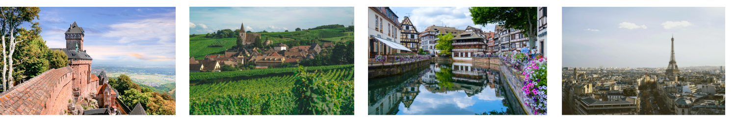 Faculty-led programs