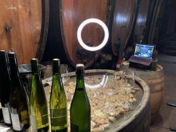 Dégustation virtuelle de vins à l'EM Strasbourg