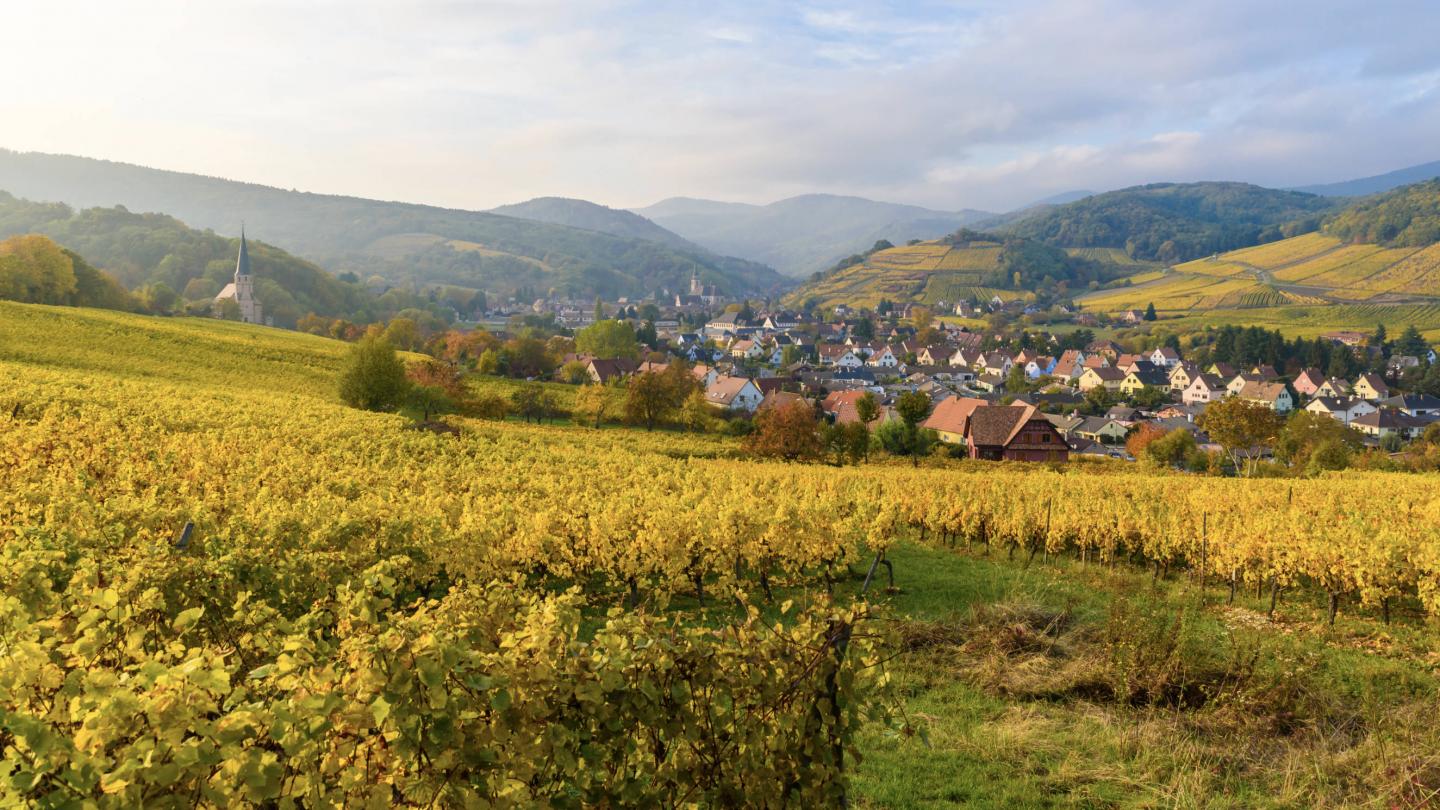 2nd International Research Workshop on Wine Tourism - EM Strasbourg