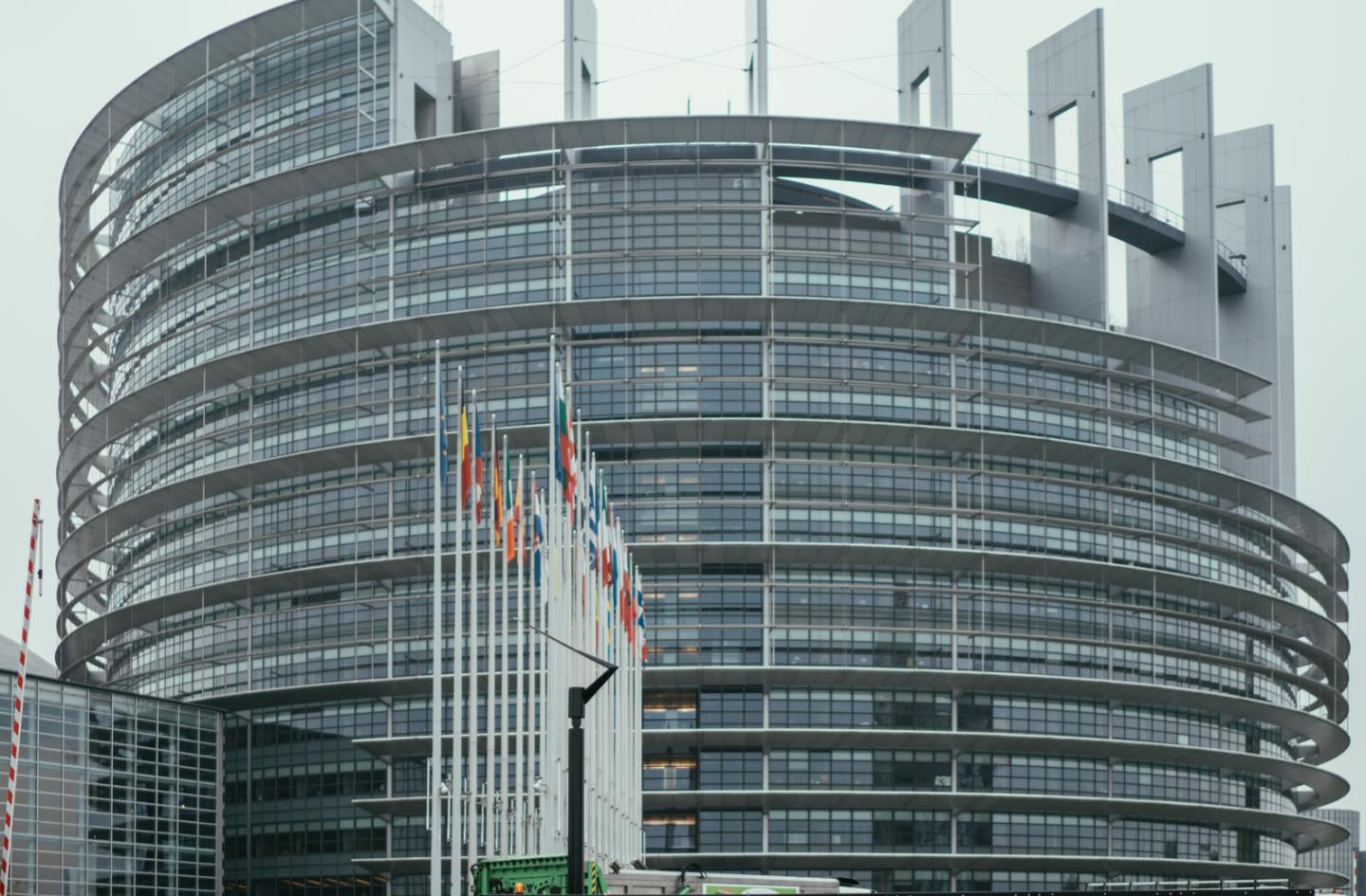Une rentrée au Parlement européen pour la nouvelle promotion du Programme Grande Ecole - EM Strasbourg