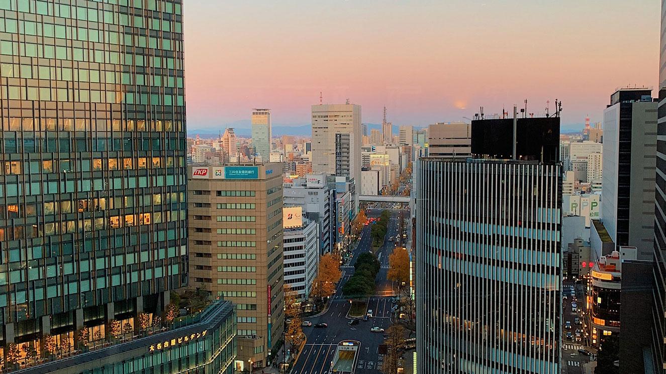 Nagoya University - EM Strasbourg